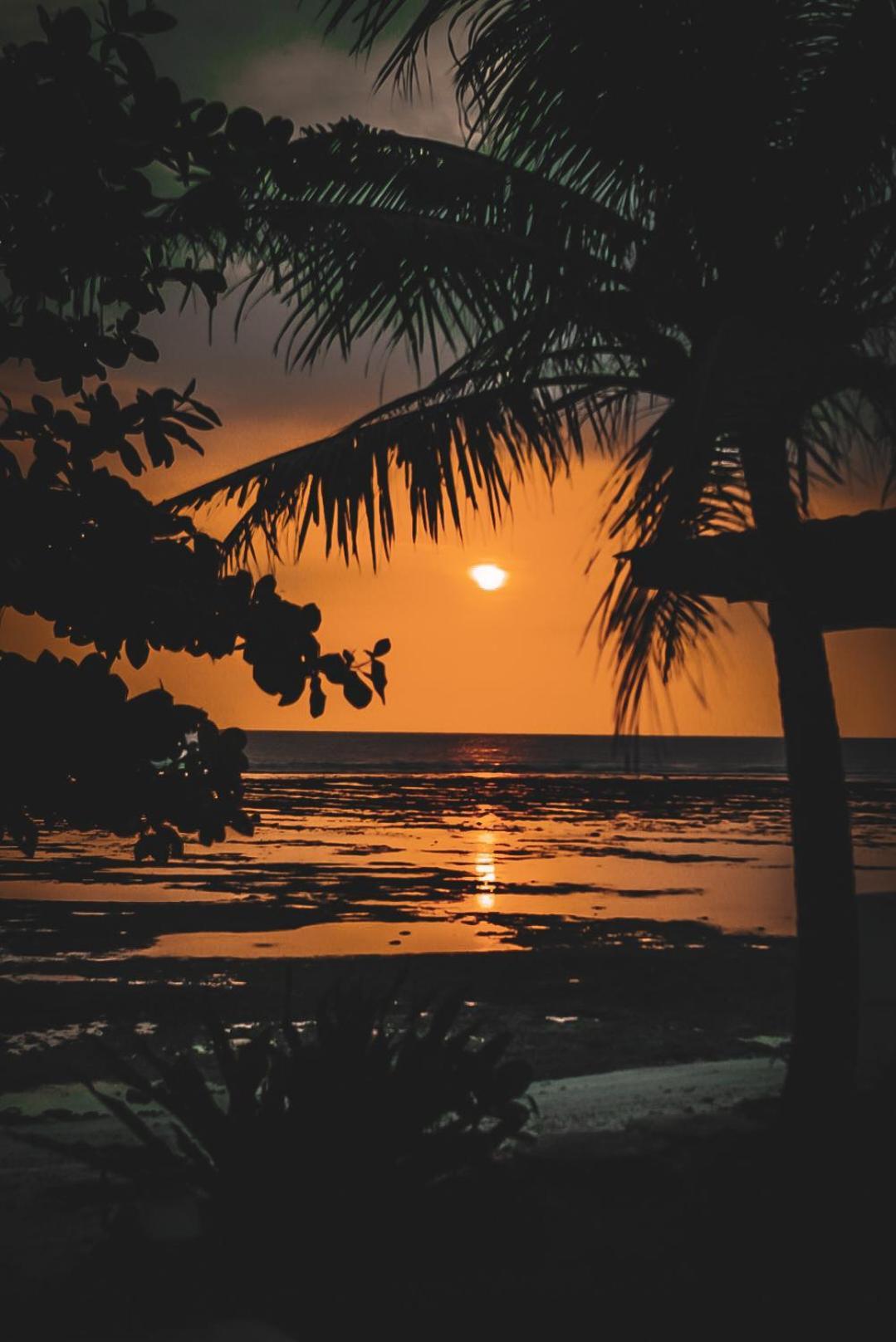 Sumatra Surf Resort Biha Exterior foto